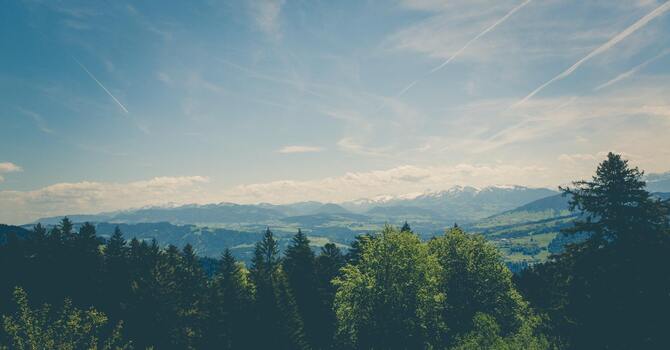 Nutrition & Wellness Coaching