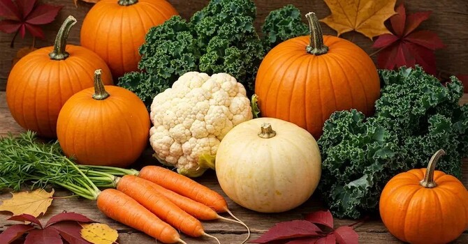 Embrace Fall Flavours: Nutritious Ways to Enjoy Pumpkin, Butternut Squash, Broccoli and more